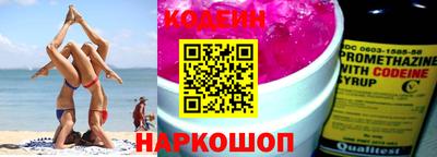 стаф Гатчина