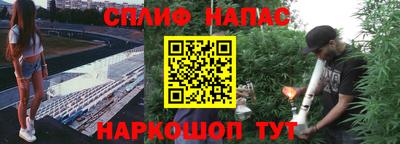 стаф Гатчина