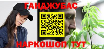 стаф Гатчина