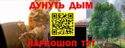 молекула духа Гагарин