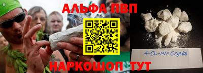 стаф Гатчина