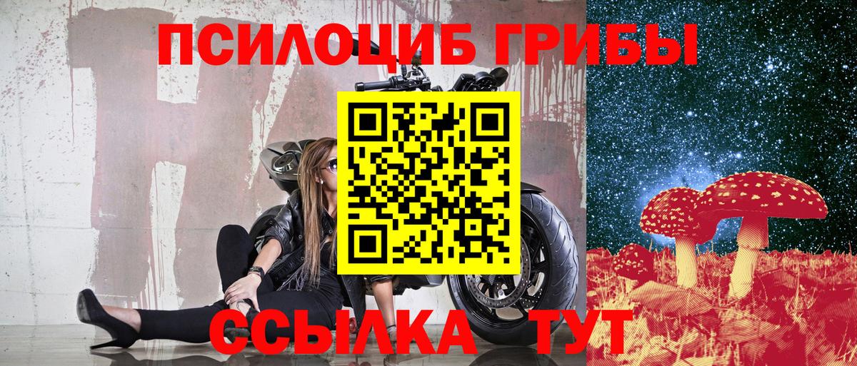 Псилоцибиновые грибы мухоморы Сергиев Посад